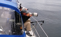 Many Alaska activities await you! Contact Sound Sailing to learn more.